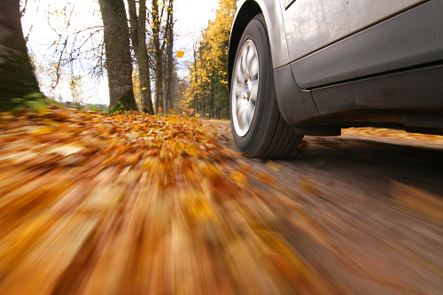 a close up of a car tire driving on a leaf covered road